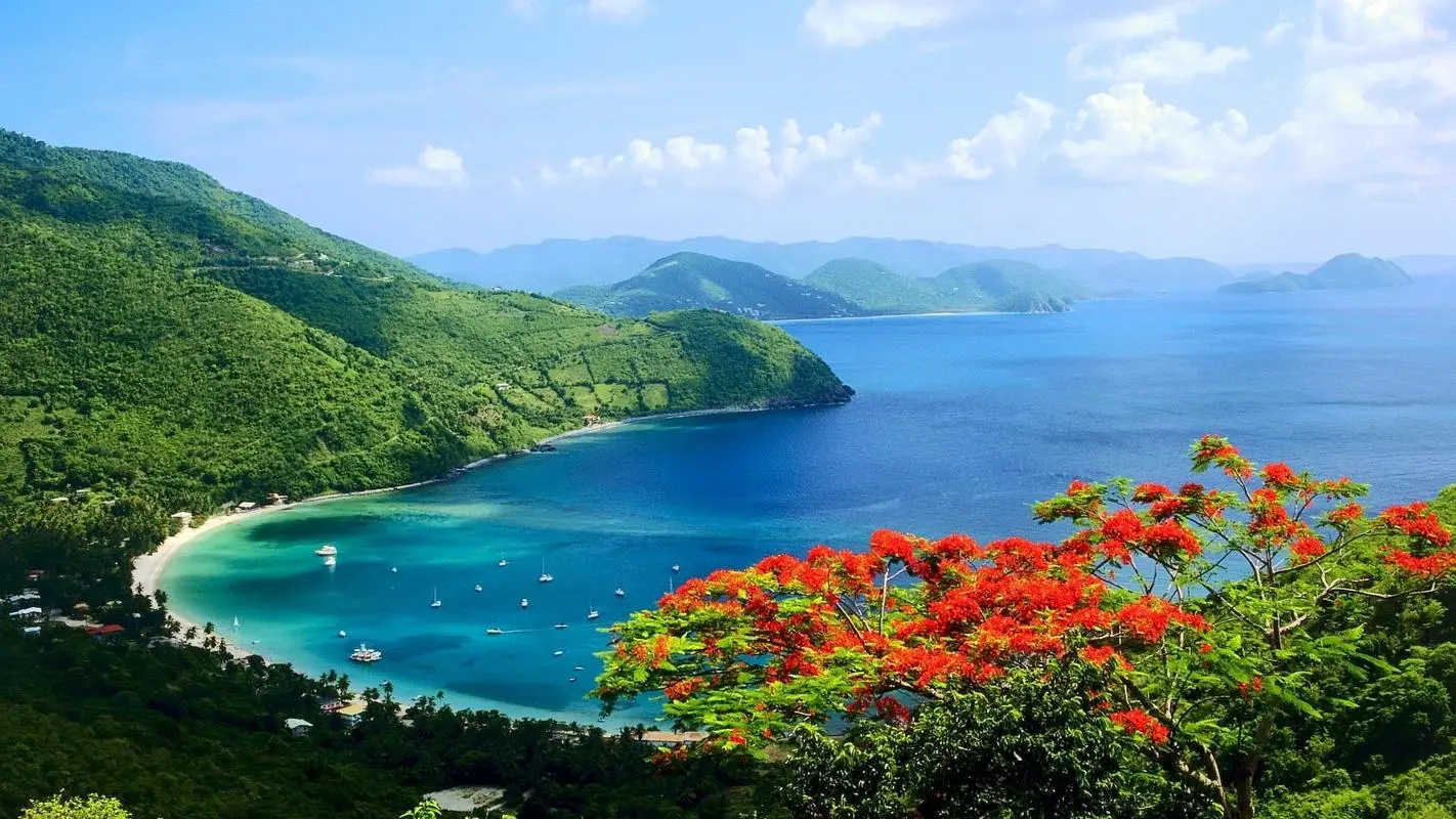 新型高端智能